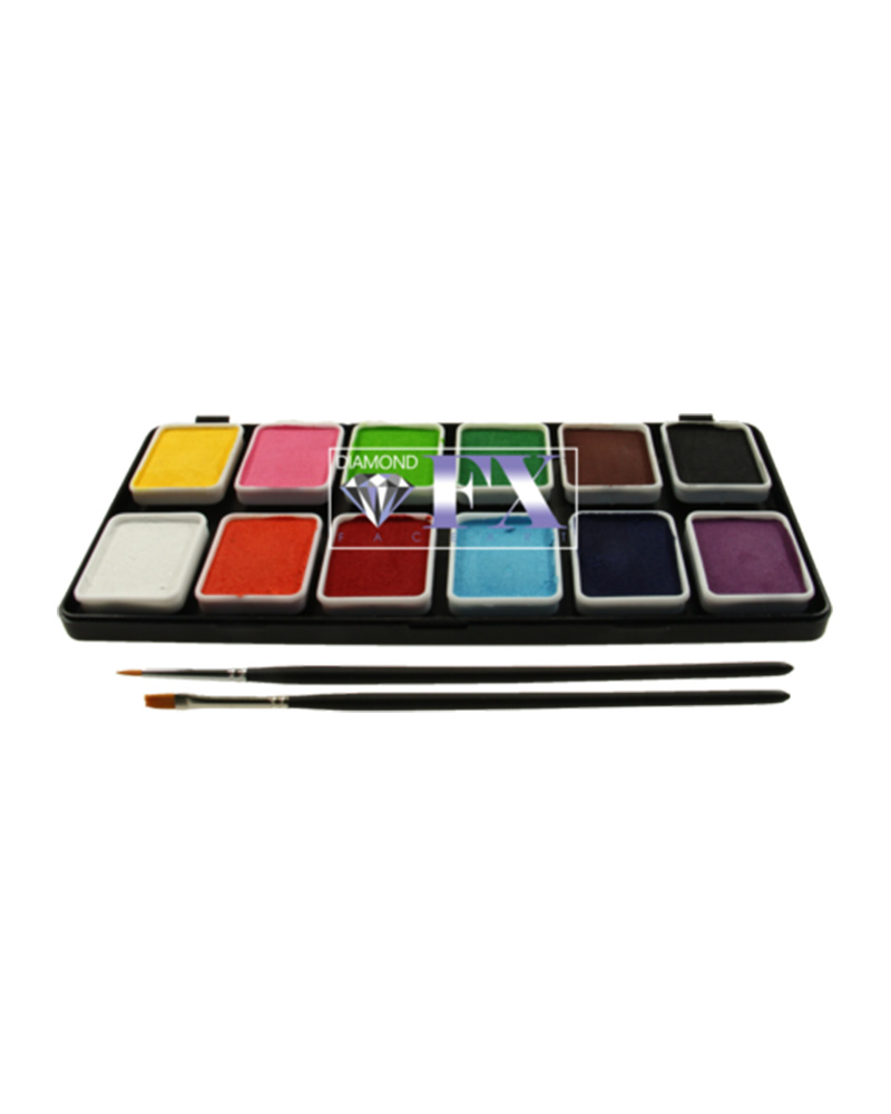 DFX פלטת 12 צבעי בסיס 6 גרם